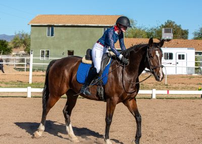 Equestrian photograph by Leslie Sherlin
