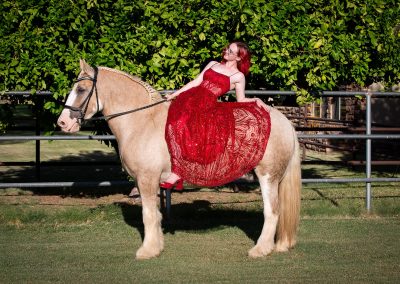 Equestrian photograph by Leslie Sherlin