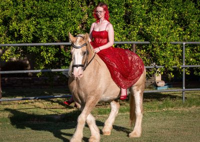 Equestrian photograph by Leslie Sherlin