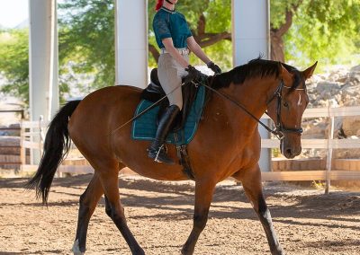 Equestrian photograph by Leslie Sherlin