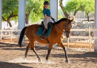 Equestrian photograph by Leslie Sherlin
