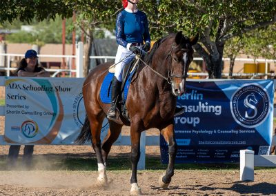 Equestrian photograph by Leslie Sherlin