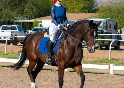Equestrian photograph by Leslie Sherlin