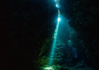 Underwater photograph from Red Sea, Egypt by Leslie Sherlin